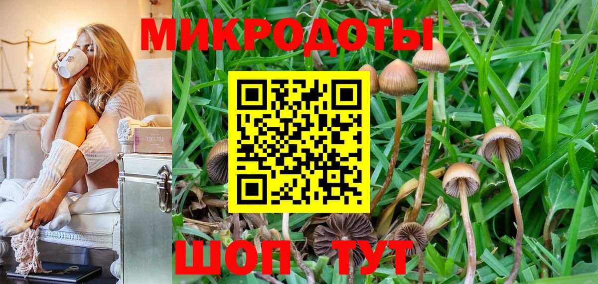 Псилоцибиновые грибы MAGIC MUSHROOMS  Вход с VPN  Нижний Тагил  Псилоцибиновые грибы мицелий 