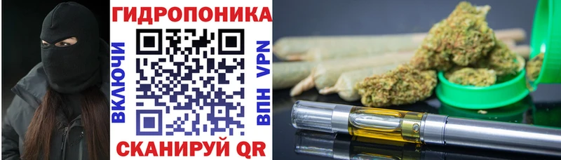 KRAKEN зеркало Нижний Тагил Бошки марихуана THC 21%